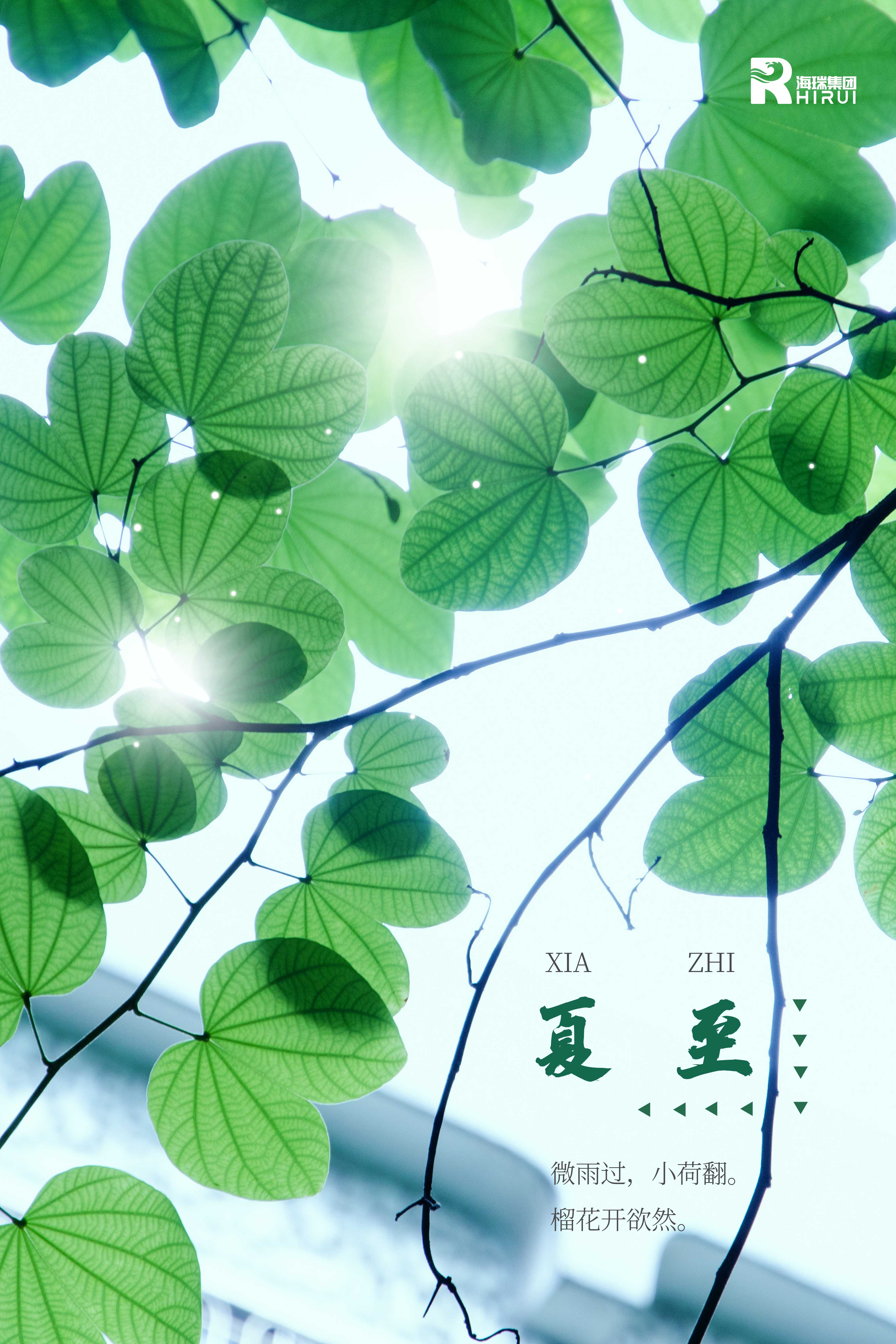 夏至已至，盛夏已至